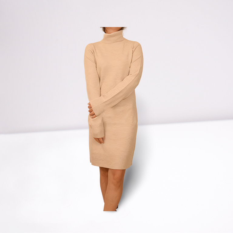 Ladies Sweater Dress