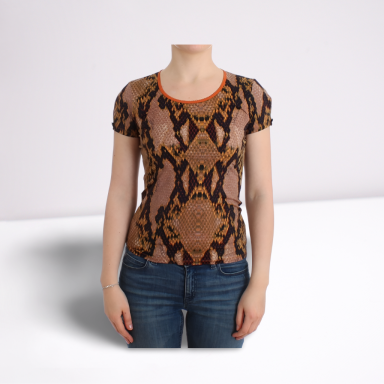 Brown snake printed top