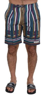 Multicolor Striped Stretch Cotton Shorts