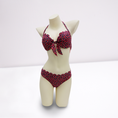 Ladies Bikini Set
