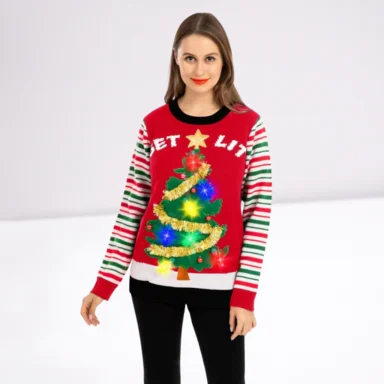 Ladies Sweater