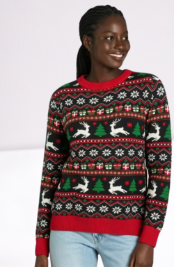 Ladies Sweater