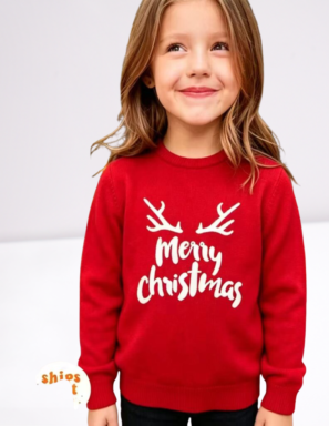 Ladies Sweater