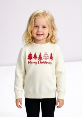 Ladies Sweater