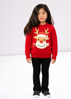 Ladies Sweater