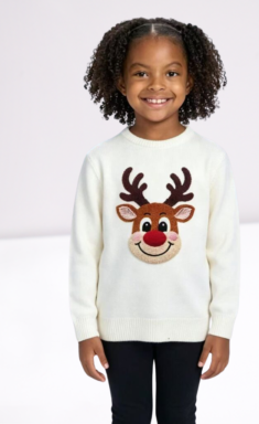 Ladies Sweater