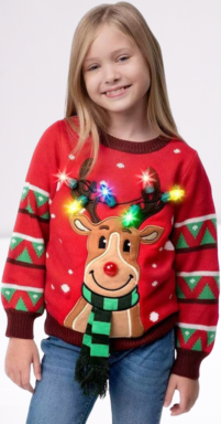 Ladies Sweater