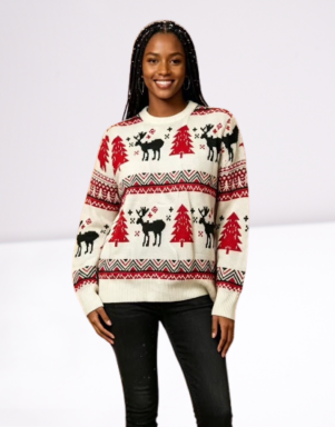 Ladies Sweater