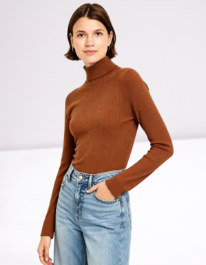 Ladies Sweater